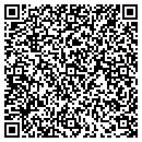 QR code with Premier Tent contacts