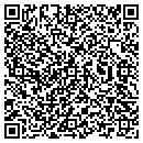 QR code with Blue Kite Foundation contacts
