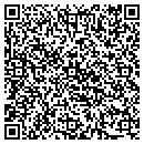 QR code with Public America contacts