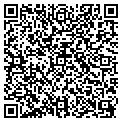 QR code with Luster contacts