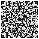 QR code with Costanzo Chriropractor Inc contacts