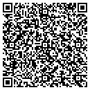 QR code with Promise Hair Lounge contacts