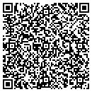 QR code with Curiosity Shoppe Ltd contacts