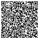 QR code with Psl Treasures contacts