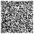 QR code with Purple Plum Antiques contacts