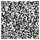 QR code with Blue Star Auto Sales contacts