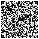 QR code with County Line Pub Inc contacts