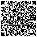 QR code with Capitol Ceilings Inc contacts