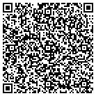 QR code with Big Toy Storage Ltd contacts