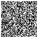 QR code with Capiral Storage LLC contacts