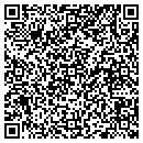 QR code with Proulx Erin contacts