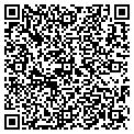 QR code with Deli V contacts