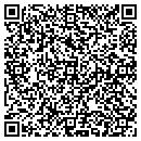 QR code with Cynthia A Mcintosh contacts