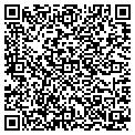 QR code with Infoco contacts