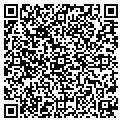 QR code with Colors contacts