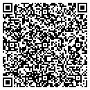 QR code with Premier Jewelry contacts