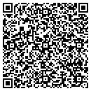QR code with Caryn Hanson Realty contacts