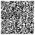 QR code with Galax Family Restaurant contacts