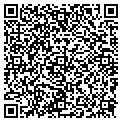 QR code with Letra contacts