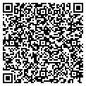 QR code with Amorina contacts