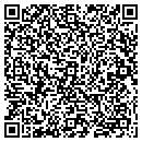 QR code with Premier Belting contacts