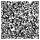 QR code with Purses Bags Etc contacts