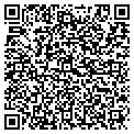 QR code with Nichem contacts