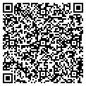 QR code with Sdgw contacts
