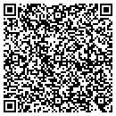 QR code with Prototype Systems contacts
