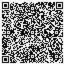 QR code with Premier Counter Top's contacts