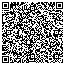 QR code with Precision Pallet Inc contacts