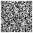 QR code with Protest Inc contacts