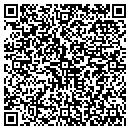 QR code with Capture Integration contacts