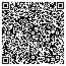 QR code with Capitola Yogurtland contacts