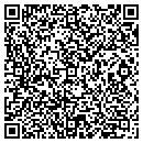 QR code with Pro Tax Service contacts