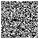 QR code with Professional Safelock contacts