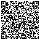 QR code with BLV CONSTRUCTION LLC contacts