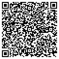 QR code with Pavoni contacts