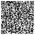 QR code with W Wfe contacts