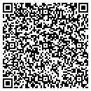 QR code with Pryzeless Inc contacts