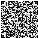 QR code with Dsi Consulting Inc contacts