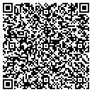QR code with Cool Springs Insights contacts
