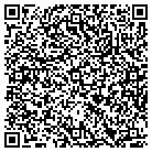 QR code with Blue Skies Travel Agency contacts