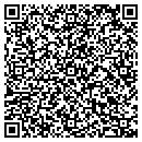 QR code with Pronet Solutions Inc contacts