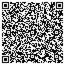QR code with Consulting With Care contacts