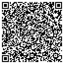 QR code with Cast Software Inc contacts