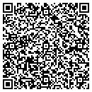 QR code with Bryja Remodeling Inc contacts