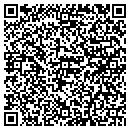 QR code with Boisdorf Consulting contacts