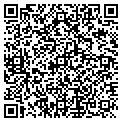 QR code with Vies Antiques contacts