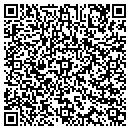 QR code with Stein's IG Superette contacts